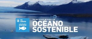 Grupo Calvo supports sustainable Oceans