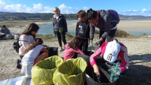 Grupo Calvo volunteers collect waste